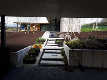 Výsadba trvalek, keřů, travin a květin